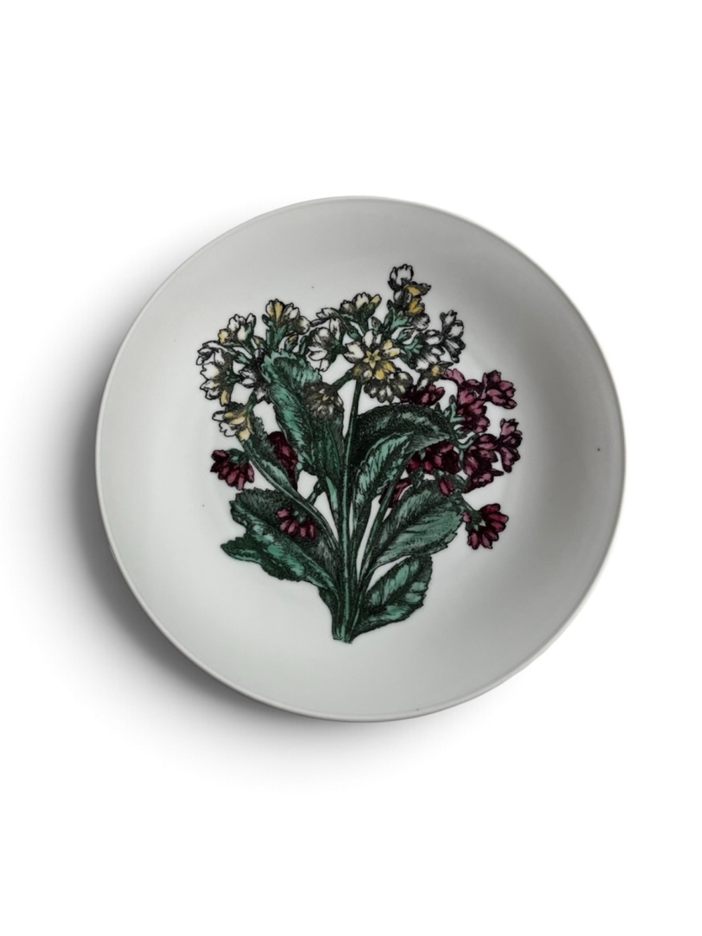 Fornasetti Milano Fiori No. 4 Porcelain Plate, Green & Pink Botanical, 1970.